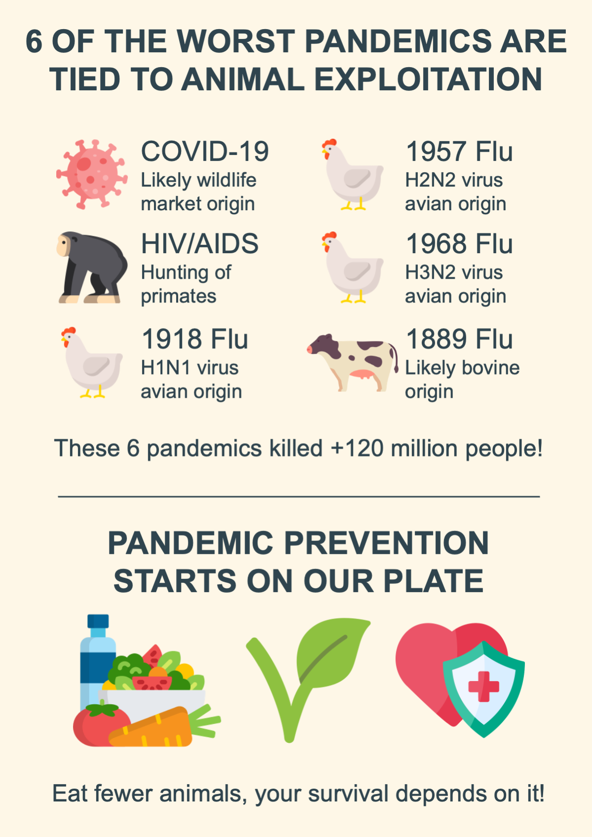 Infographic linking major pandemics to animal exploitation