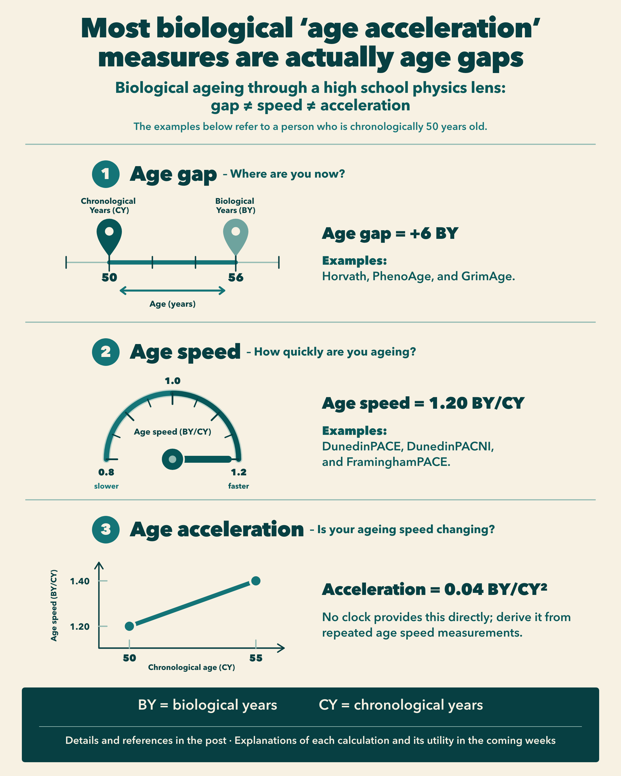 Infographic comparing age gap, age speed, and age acceleration